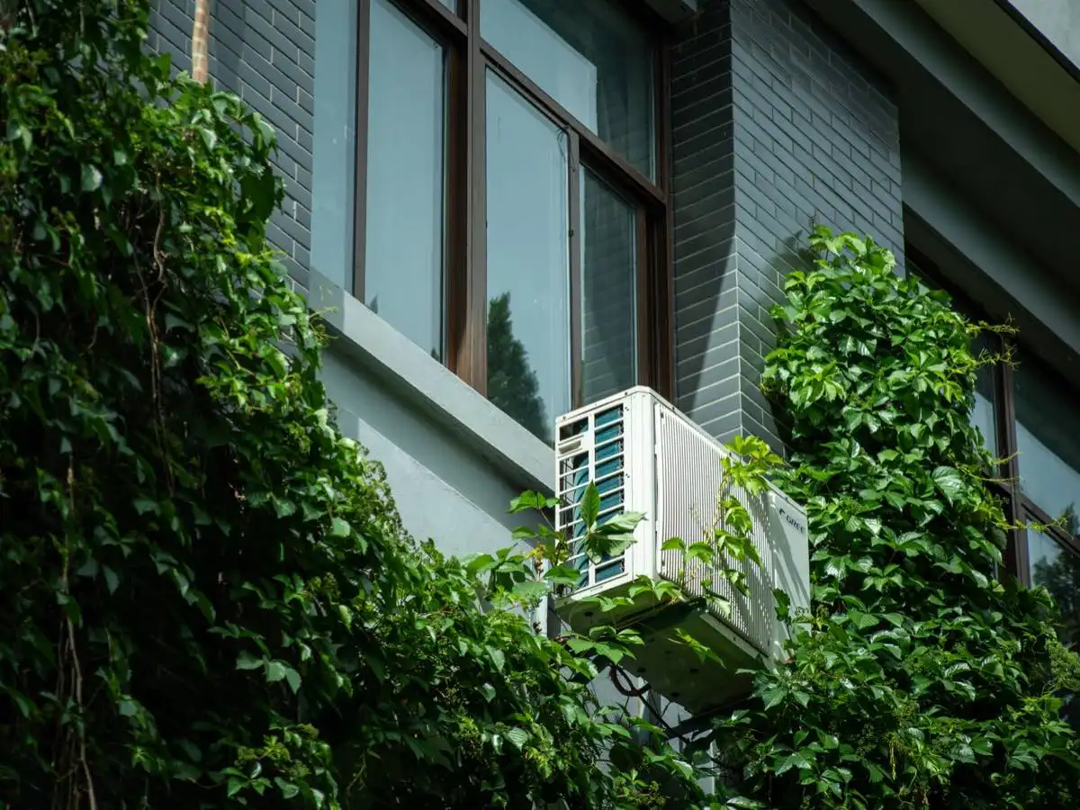 Energy Efficient Windows in Savannah, GA